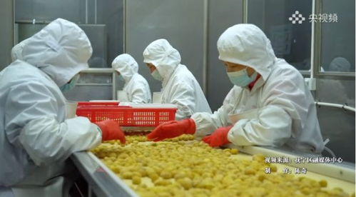 抚宁 现代食品产业活力迸发