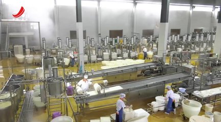 以质量求生存,以信誉求发展