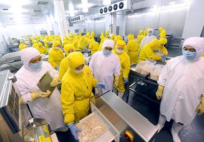 河南对出口禽肉生产进行全过程质量监督