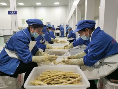 桐梓:龙头企业带动方竹笋精深加工