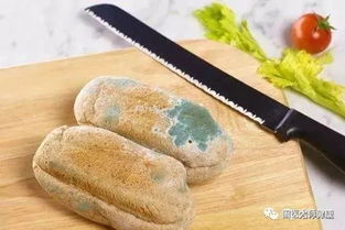 肝脏害怕什么 这些行为容易让你丢命特别是最后一个